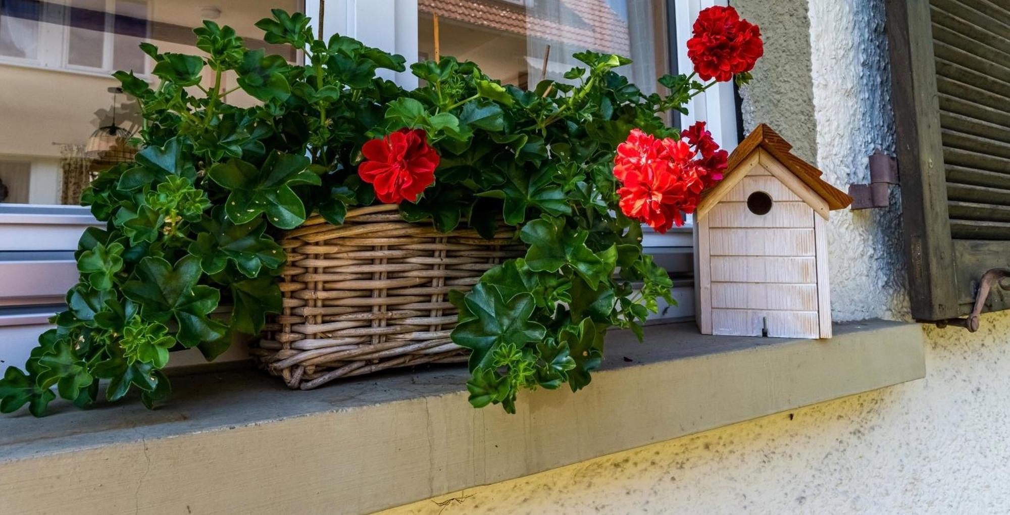 Gartenferienhaus "Annaluise" Schönau im Schwarzwald Exterior foto